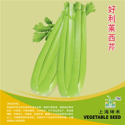 好利莱西芹