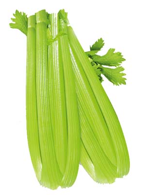 四季王西芹