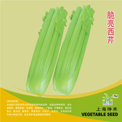 脆亮西芹