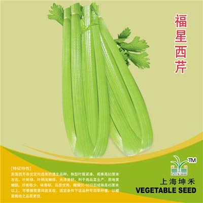 福星西芹