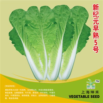 新纪元早熟5号