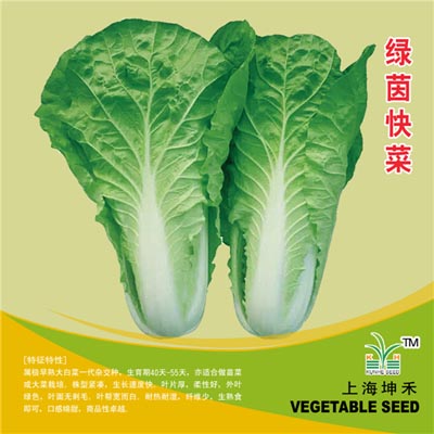 绿茵快菜