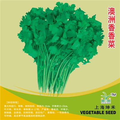 澳洲香香菜