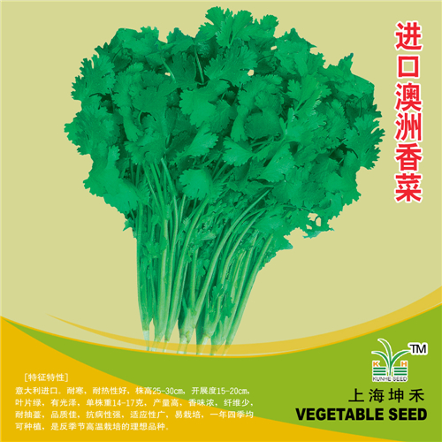 进口澳洲香香菜