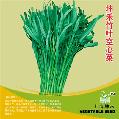 坤禾竹叶空心菜