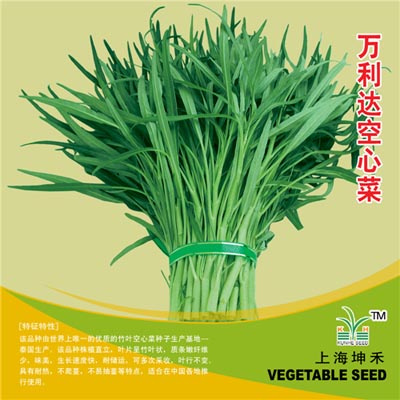 万利达空心菜