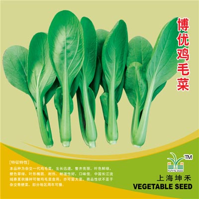 博优鸡毛菜