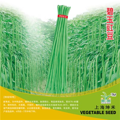 碧玉豇豆