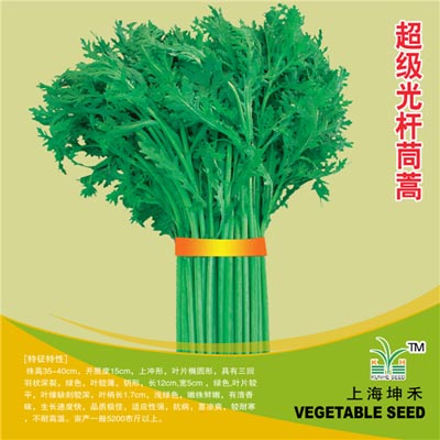 超级光杆茼蒿